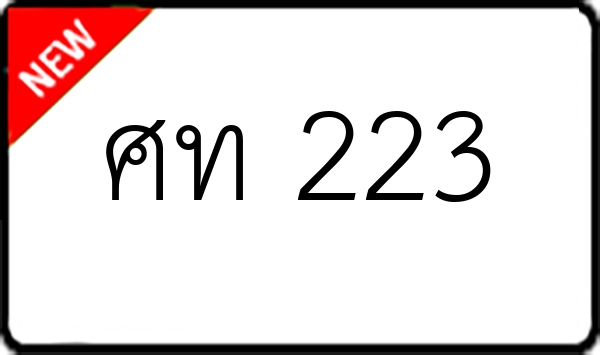 ศท 223